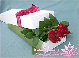 21 آبان تولد mona mona مبارک باشه